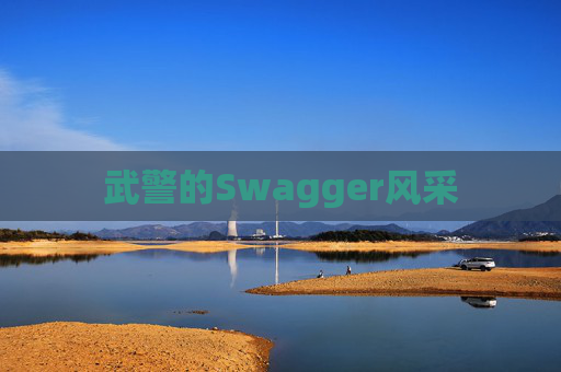 武警的Swagger风采